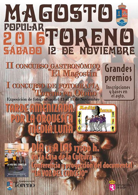 magosto-toreno