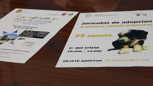 jornadasdeadopcion955