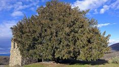 Ponferrada obtiene la autorización para instalar cámaras para proteger el Tejo de San Cristóbal 