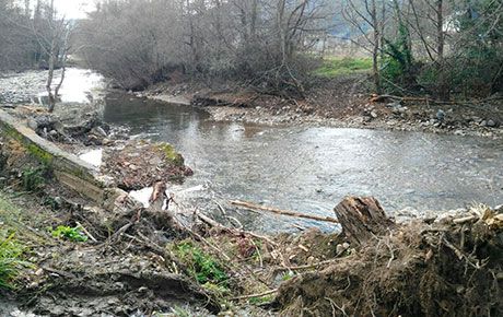 IMG-20170117-WA0002460