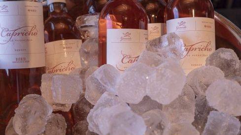 Presentacion Bodegas Gancedo Capricho Abril 2018 635_3