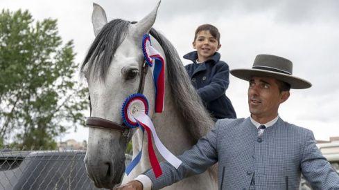 Feria del Caballo Camponaraya 13 Mayo 2018 635