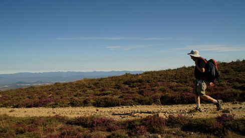 Camino_Gourmet_Prensa05