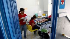 podologia635 podologia635