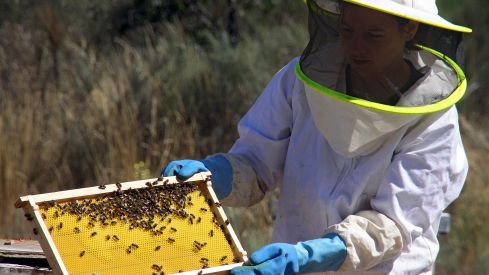 Una emplada comprueba la calidad del producto.ICAL / PEIO GARCIA