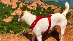 Pipper-en-las-médulas--635 Pipper-en-las-médulas--635