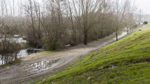 Paseo del Sil 19 Ene 2018_4