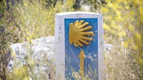 Peregrinos Camino Santiago 2019 650_2