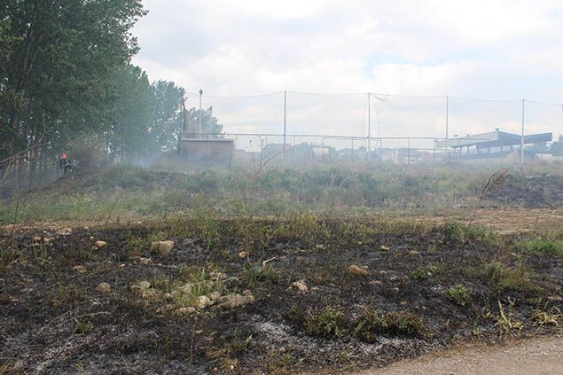 Fuego Flores del Sil -2