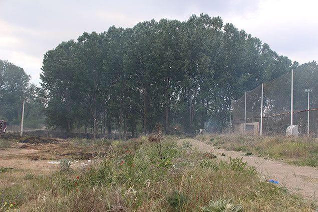 Fuego-Flores-del-Sil-1