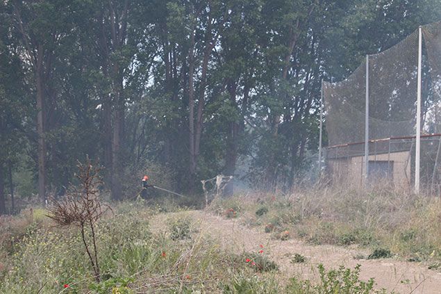 Fuego-Flores-del-Sil-2