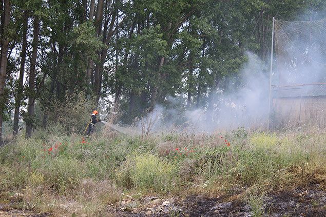 Fuego-Flores-del-Sil--4