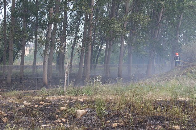 Fuego-Flores-del-Sil--10