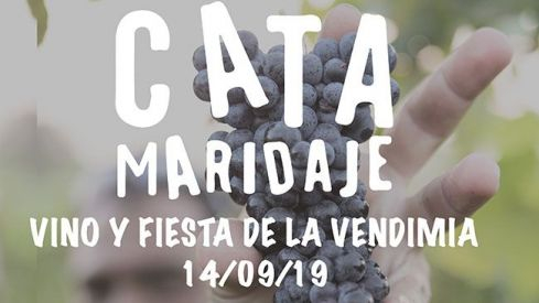 CATA 4 PASOS VENDIMIA