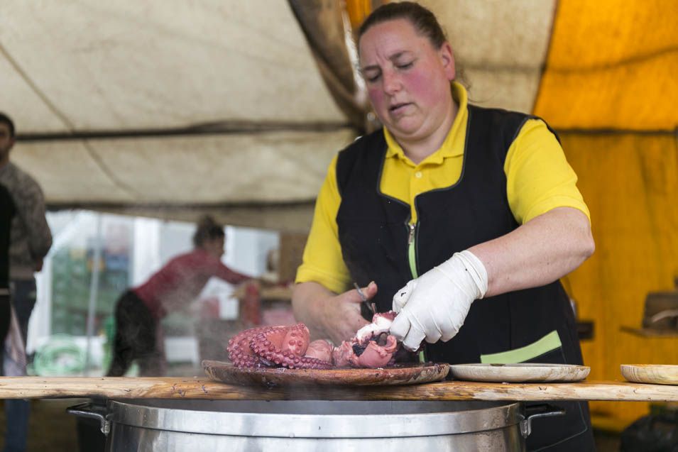 Feria-Cacabelos-2017_4