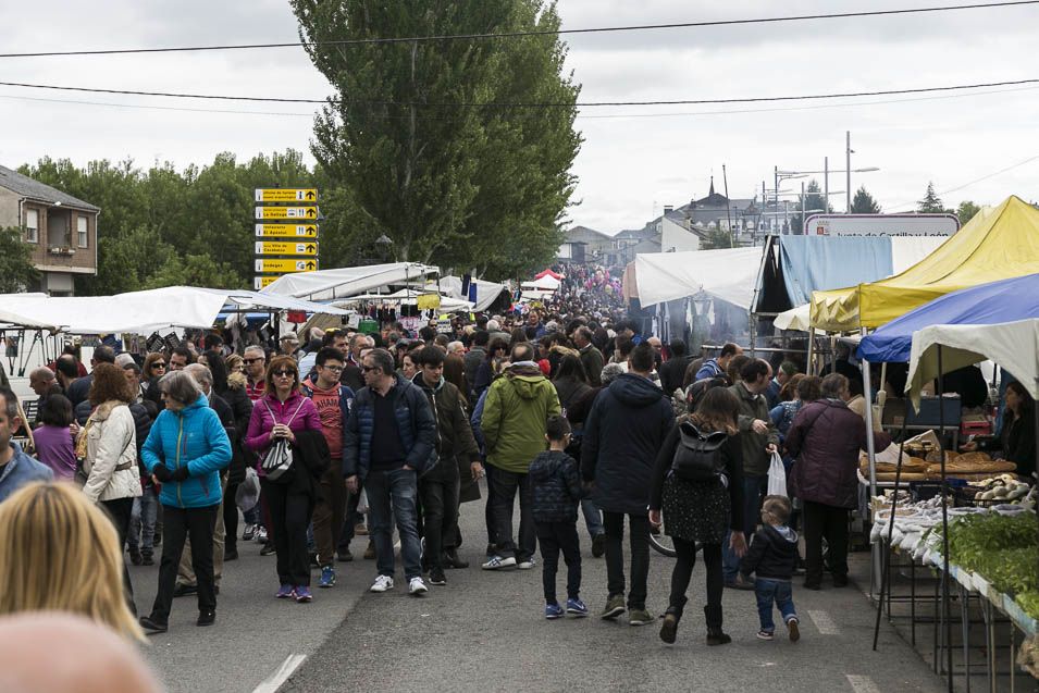 Feria-Cacabelos-2017_8