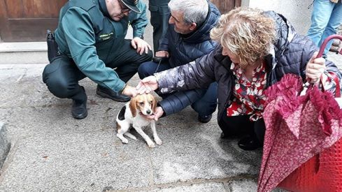 Rescate perro villafranca 650 2