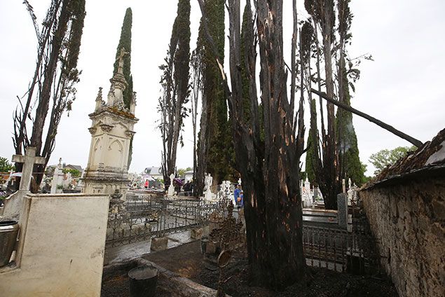 César Sánchez / ICAL