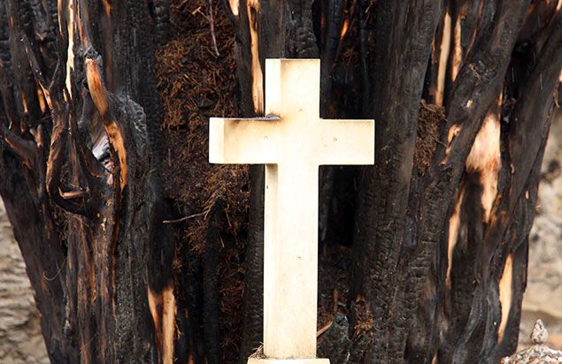 César Sánchez / ICAL