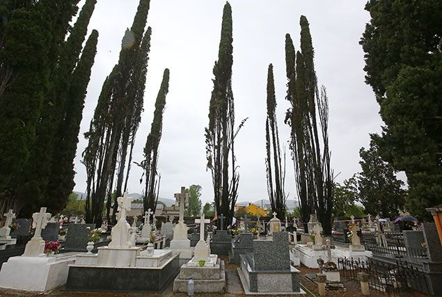 César Sánchez / ICAL