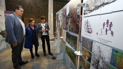 Presentación de la exposición sobre arte rupestre 'Lienzos de piedra'