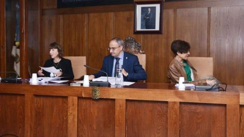 pleno ayuntamiento (6)