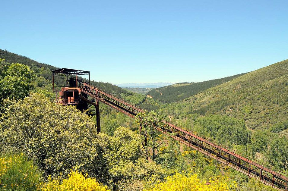 coto-wagner coto-wagner