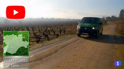 dominiotarestveYT650