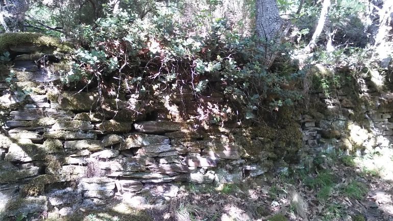 1497952962_068793_1497954977_noticia_normal