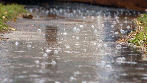 Científicos definen las razones del placentero olor de la -lluvia de verano-