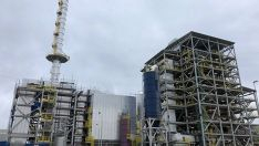 Forestalia en Cubillos del Sil 