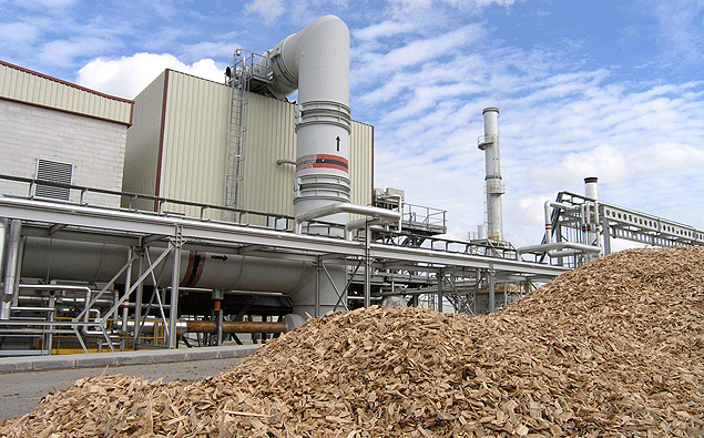 biomasa-1