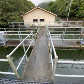 etap San Clemente de Valdueza 