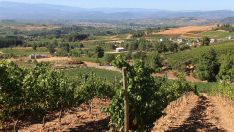 campo bierzo