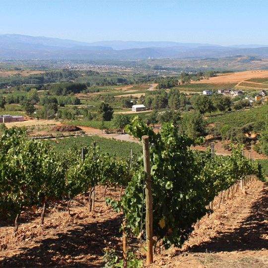 campo bierzo campo bierzo