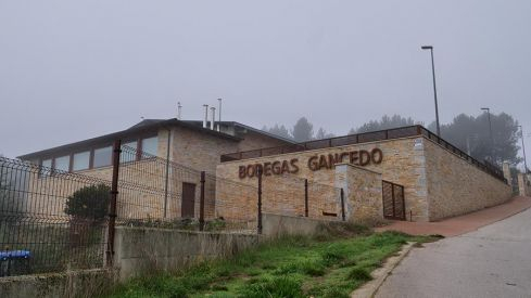 bodegas-gancedo-7