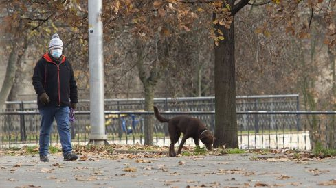 perros mascotas ponferrada 1200
