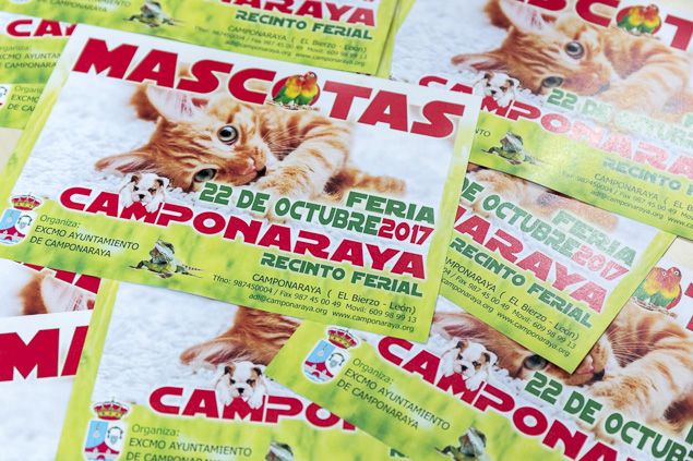 Tercera Feria De Mascotas de Camponaraya Octubre 2017_3