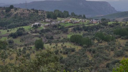 peon arriba abajo (3) (2)