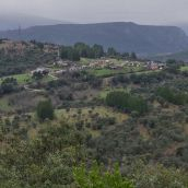 peon arriba abajo (3) (2)