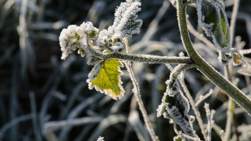 El Puerto del Pico (Ávila) registra la temperatura más fría del país con 8,5 grados bajo cero