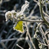 El Puerto del Pico (Ávila) registra la temperatura más fría del país con 8,5 grados bajo cero