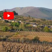san clemente de villabuena primavera video