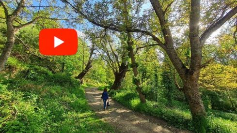 primavera valdecañada video