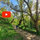 primavera valdecañada video