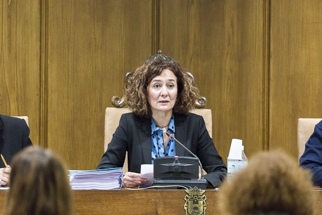 Pleno Ayuntamiento Ponferrada Noviembre 2017_8