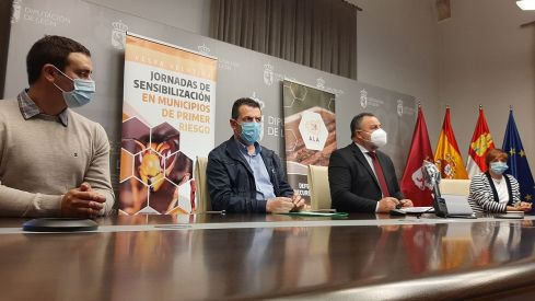 RP VESPA VELUTINA 21