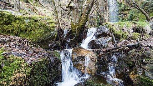 La asociación de vecinos 'El Nogal' organiza la 'Marcha Circular' por la Ruta del Gualtón