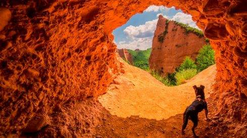ponferrada-mejor-destino-mascotas