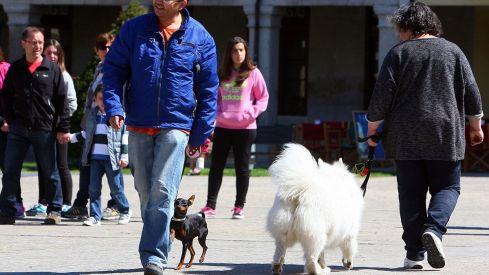 dia-mundial-perro-ponferrada